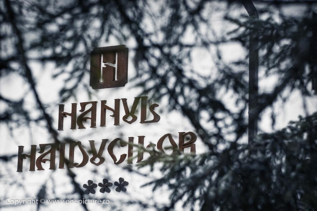 Hanul Haiducilor Obarsia-Lotrului Oda fotoğraf